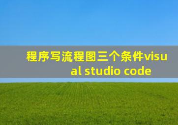 程序写流程图三个条件visual studio code